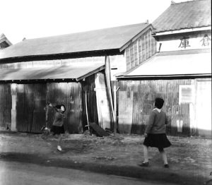 �_���q��